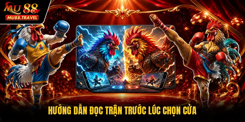 Hướng dẫn đọc trận trước lúc chọn cửa