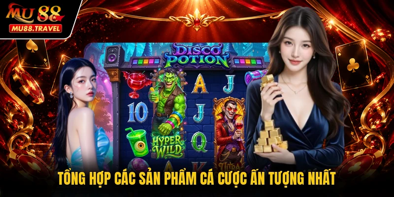 Tổng hợp các sản phẩm cá cược ấn tượng nhất